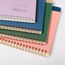 프로젝트 기간별 일정관리 만년 플래너 플래너다이어리 나만의다이어리 자기주도학습 휴대하기좋은크기, 2블루