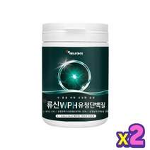(총2개) 프루틴 근력 wpc 이소류신 루신 l류신 완두콩단백질 류신아미노산 l뮤신 단벡질 엘유신 프로테인 보충제 l-뉴신 유신프로테인 어른 완두콩단백질쉐이크 유신 환갑 노령 중년층 시니 노
