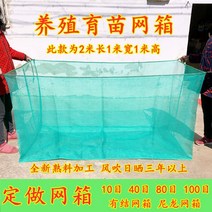 통발 어포기 물고기 장어 미꾸라지 가재 양식 어망 케이지 사육 그물 특수, 덮개X - 1x1x1