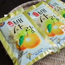 해마을 나주배사랑나주배즙, 110ml x 50개