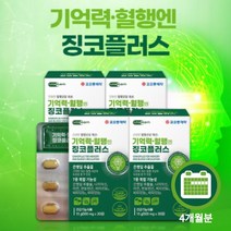 뇌 기능 생각 활성화 에 좋은 기억력 인지력 저하 감퇴 혈행 개선 플라보놀배당체 은행잎 추출물 징코 ginko 영양제, 4BOX(4개월분)