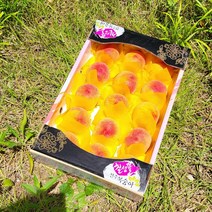 천도 천도복숭아 딱딱이복숭아 2.5KG 5KG 1박스, 황도복숭아 4KG, 1개