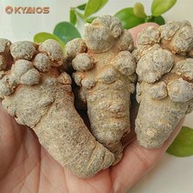 OKYAIOS 전칠삼 삼칠 삼칠근 병 면역력 제고, 500g/15개
