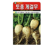 SN월드 뿌리채소 씨앗 무 당근 양파 알타리무 비트 콜라비 과일무, 토종게걸무