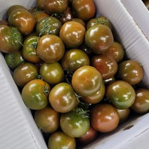국산 프리미엄 흑토마토 2.5kg 5kg, 5kg