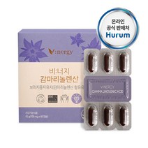 감마리놀렌산 보라지꽃종자유60캡슐, 60정, 3개