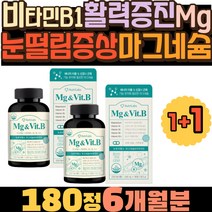 비타민B1 눈떨림증상 Mg 확력증진 마그네슘효능 집들이선물 미국영양제 비타민B2 왼쪽눈떨림 마그네슘 비타민B6 비타민B12 영양제추천 마그네슘영양제 꼭먹어야하는영양제 스트레스케어