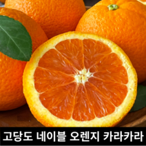 고당도 네이블 카라카라 오렌지 대과 특대 5kg 3kg / 네이블오렌지 자몽오렌지 카라카라오렌지 블러드오렌지 자몽 카라오렌지 orange 빨간오렌지 오랜지 오렌지대과, 카라카라 중과 2kg (10과)