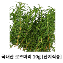 국내산 로즈마리 약 10g 50g 100g 500g 1kg 산지직송 로즈마리 생잎 허브 잎 로즈마리 잎 로즈마리 허브 rosemary 향신료 식용 데코용 샐러드 허브 herb, 약 100g