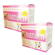 인트라젠 플러스 종합영양제 60P 분말 장염 설사예방 면역력