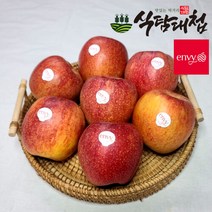 브랜드없음 식탐대첩 가정용 흠집 엔비사과 10kg 중과 과수랜덤, 단품없음