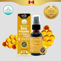 캐나다 비 프로폴리스 원액 스프레이 식약처 인증 인정 플라보노이드 항산화 구강 향균 활성 유해 산소 제거