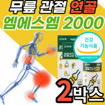 식약처 인증 인정 엠에스엠 2000 고함량 40대 50대 60대 남자 여자 부모님 할아버지 할머니 노인 어르신 무릎 관절 연골 어깨 손가락 마디 허리 고관절 건강 기능 식품 영양제, 2박스, 360정