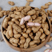 국산 햇땅콩 고소한 피땅콩 삶아먹는 흙땅콩 1kg, 단품