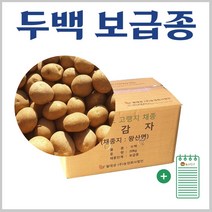 강원도 두백 씨감자 4kg 10kg 20kg + 농사친구 안내장 세트, 03. 두백감자씨 20kg + 농사친구안내장