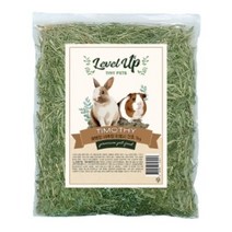 레벨업 내추럴 대용량 토끼 & 기니피그 티모시 건초 1kg, 2개