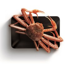 혜성수산 산지직송 영덕대게, 국산대게 생물(활어), 3kg, 1개