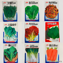 청년농부 각종씨앗 서리태콩씨앗 빨강강낭콩씨앗 콩씨앗 뚝섬상추 적치마상추 청치마상추 돌산갓 서울배추 부추씨앗 깻잎씨앗 대파씨앗 당근씨앗 스파클 완두씨앗 대원 시금치씨앗 토종조선열무