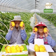 성주직송 제철과일 성주 참외 2kg, 2kg(6-12과)