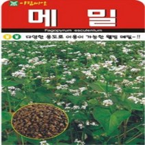 AR 메밀 30g 메밀 씨앗, 1개