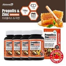 목 기관지 구강 잔기침 입냄새 관리 입안 헐었을때 향균 항산화 면역력 증진 에 좋은 탁월한 프로폴리스 아연 복합 영양제, 4BOX(1년분), 4개