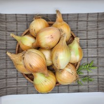 양파(중) 15kg 1박스 웅쓰팜