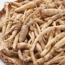 농가살리기 제주 더덕 구좌더덕 세척 햇 한입 2kg 5kg, 햇 한입 구좌 더덕 2kg