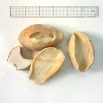 모리타니아 위소라 1KG (+-30G), 단품