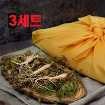 경성건강원 강원도 산양산삼 5 6년근 5뿌리 진세노사이드 면역 장뇌삼 산삼 고급건강선물세트, 3개, 산양삼5뿌리
