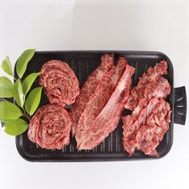 [산지직송]바른제주고기 제주한우 양지특수부위(업진안살 갈비덧살 앞치마살)500g[구이용]