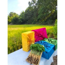 순수 새싹삼 [GAP 인증] 대 100 뿌리 (25cm 이상) 1box 선물포장 가능 (오후 2시이전 주문시 당일발송), 선물 포장