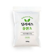 딜리셔스 플랜츠 비건 머쉬룸 시즈닝 500g, 1개