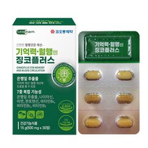 코오롱제약 기억력 혈행 엔 징코플러스, 500mg x 30정, 2개