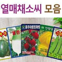 살아있는 씨앗 모음 열매씨앗 여주 우엉 박 토마토 참외 수박 오이 호박 가지 옥수수 깨 콩 팥 수수 밀 배추 양배추 열무 알타리 당근 무 비트 콜라비 고추 파프리카 종자, I-얼룩이풋호박 x 1개, 1개