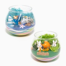 율아트 미니 테라리움 만들기 키트 유리볼 화분 세트, 해변가