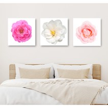 세잔느화실 캔버스액자 3종 1세트 기획전 (27.풍수-모란 시리즈 1번)