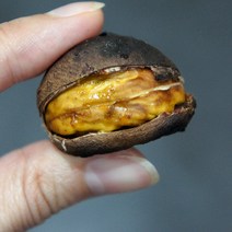 햇밤 국내산 칼집밤 알밤 삼조생 밤 3kg 대 칼집있음 군밤용밤, 1개