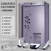 미니스타일러 휴대용의류관리기 접이식 전기 의류 건조기 음이온 살균 스마트 원격 제어 휴대용, 02 2300W_01 CN, [02]