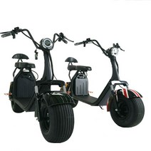 일렉모터스 전동스쿠터 듀얼모터 시티코코 국내배송 AS전문 1500W, 1개, 1500W(블랙 20AH 교체)