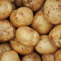 익산원예농협 국내산 100% 포슬포슬 수미감자 (중대 60g이상), 감자 중대 10kg