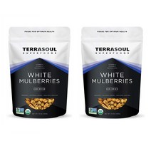 Terrasoul Superfoods 테라소울슈퍼푸드 뽕나무열매 WHITE MULBERRIES 454g 2개
