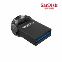 샌디스크 Ultra Fit CZ430 USB 3.1 512GB