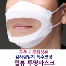 모아텍 립뷰마스크 10매 대형 립리딩마스크 입보이는마스크 투명마스크, 일반형 투명창 화이트 10매