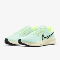 나이키 페가수스 39 남자 운동화 DH4071-301