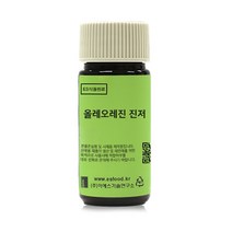 ES식품원료 올레오레진 진저 OR GINGER, 10g, 10g, 1개