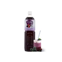 파낙스 참다음 6배 희석용 복분자 음료베이스, 석류골드, 1개, 1.5L