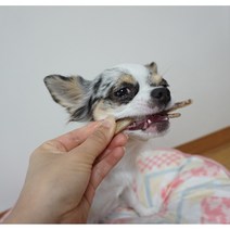 웰리아펫 뼈닭발껌 국내산 강아지 수제 간식 무방부제 다이어트 뼈간식, 200g