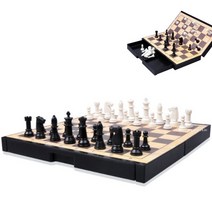 자석식 중형 체스 미니교본포함 체스세트 고급체스
