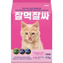 유한양행 윌로펫 고양이 더 건강한 프로바이오틱스 영양제 30g, 항산화, 1개