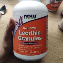 나우푸드 레시틴 포스파티딜 분말 45일분 454g